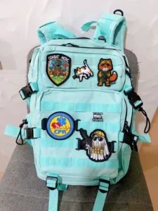 Carrousel sac sport avis 4
